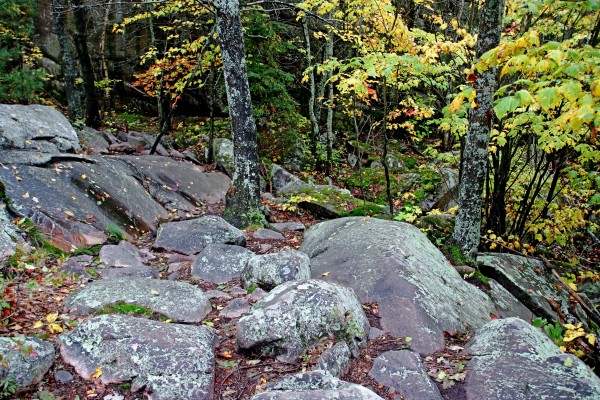 Chikanishing Trail by Deb Oppermann